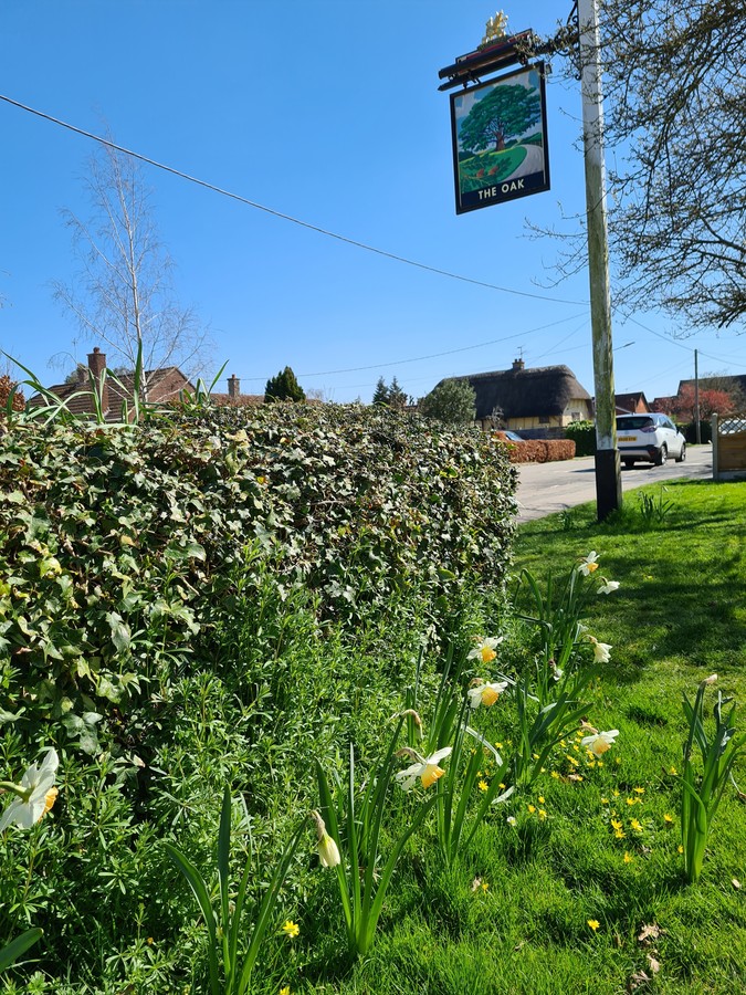 The Oak Pub